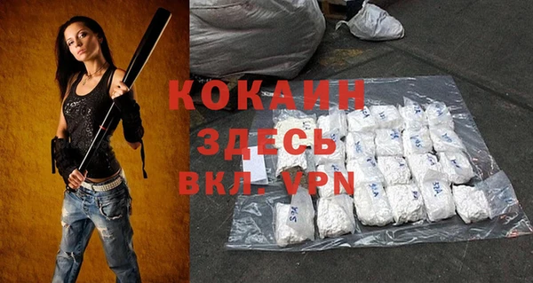 спайс Гусев