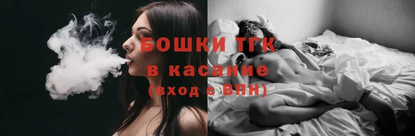 спайс Гусев