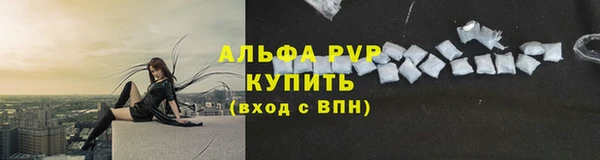 спайс Гусев