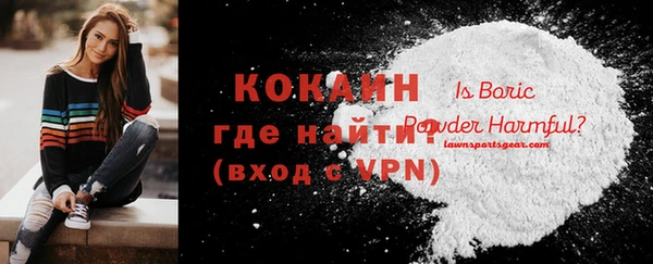 спайс Гусев
