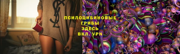 спайс Гусев